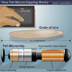 pet-microchip-7